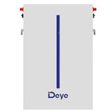 Deye 6.14kWh Lithium-Ion Battery